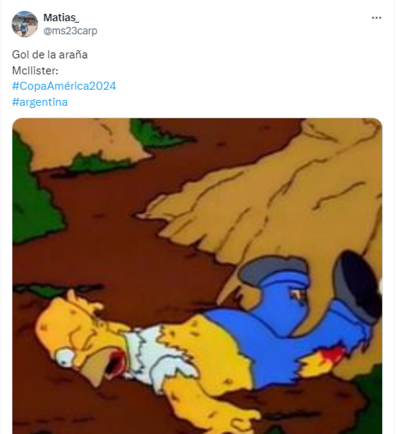 Los memes sobre la victoria de Argentina en la Copa América 2024. Foto: Captura.