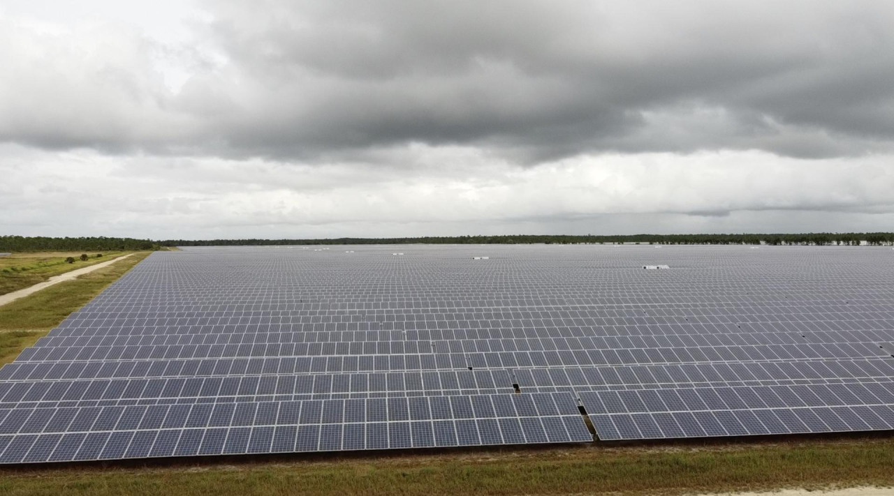 Planta de energía solar. Foto: EFE.