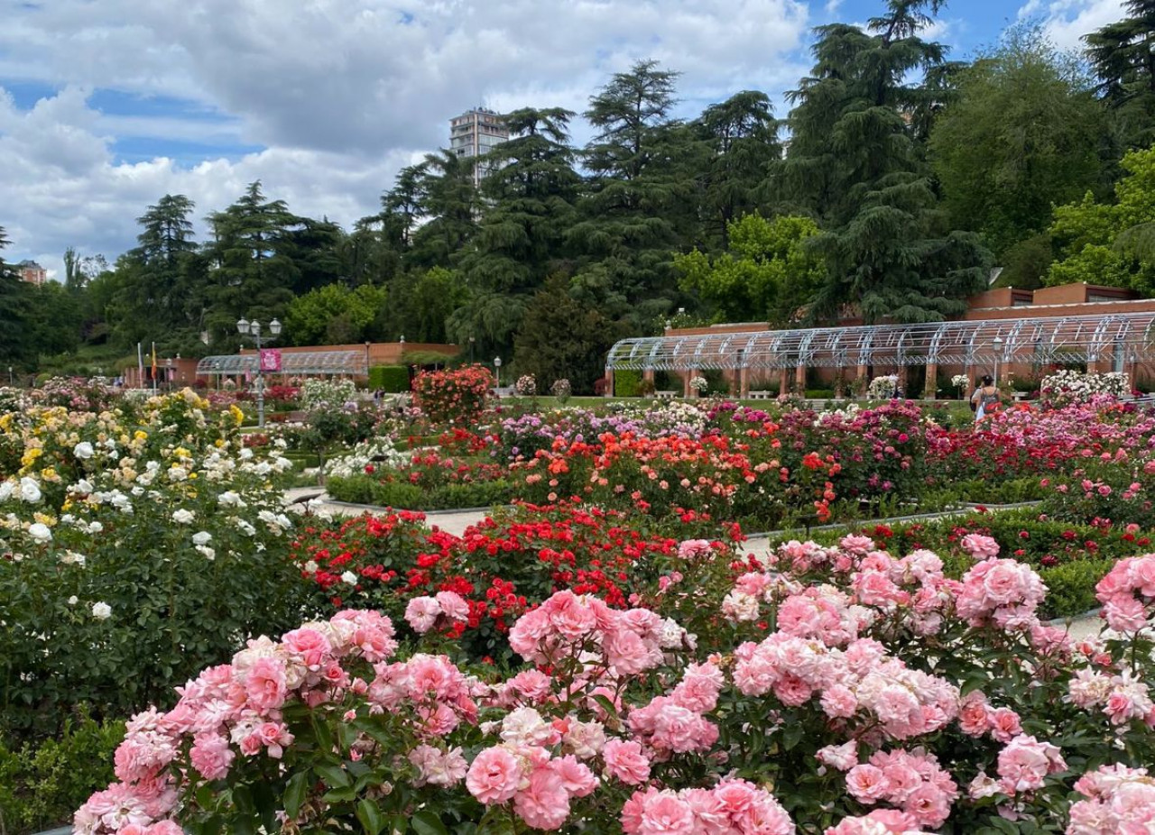 Rosedal de Palermo. Foto: X