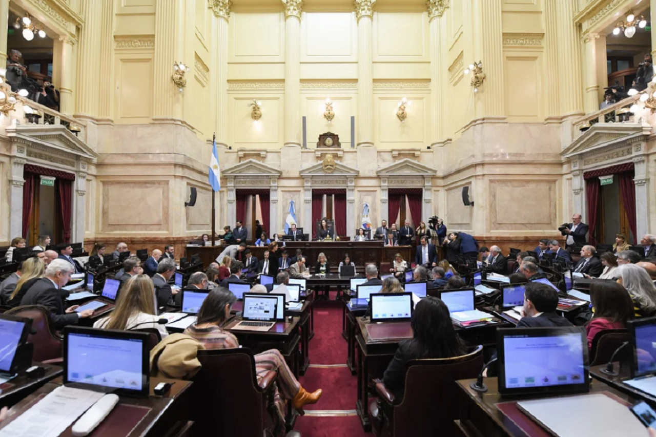 Senadores. Foto: NA