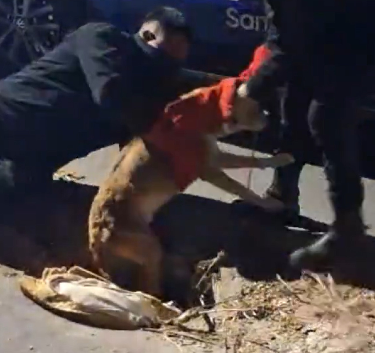 Policías de Rosario rescataron a un perrito de un pozo. Foto: redes sociales.