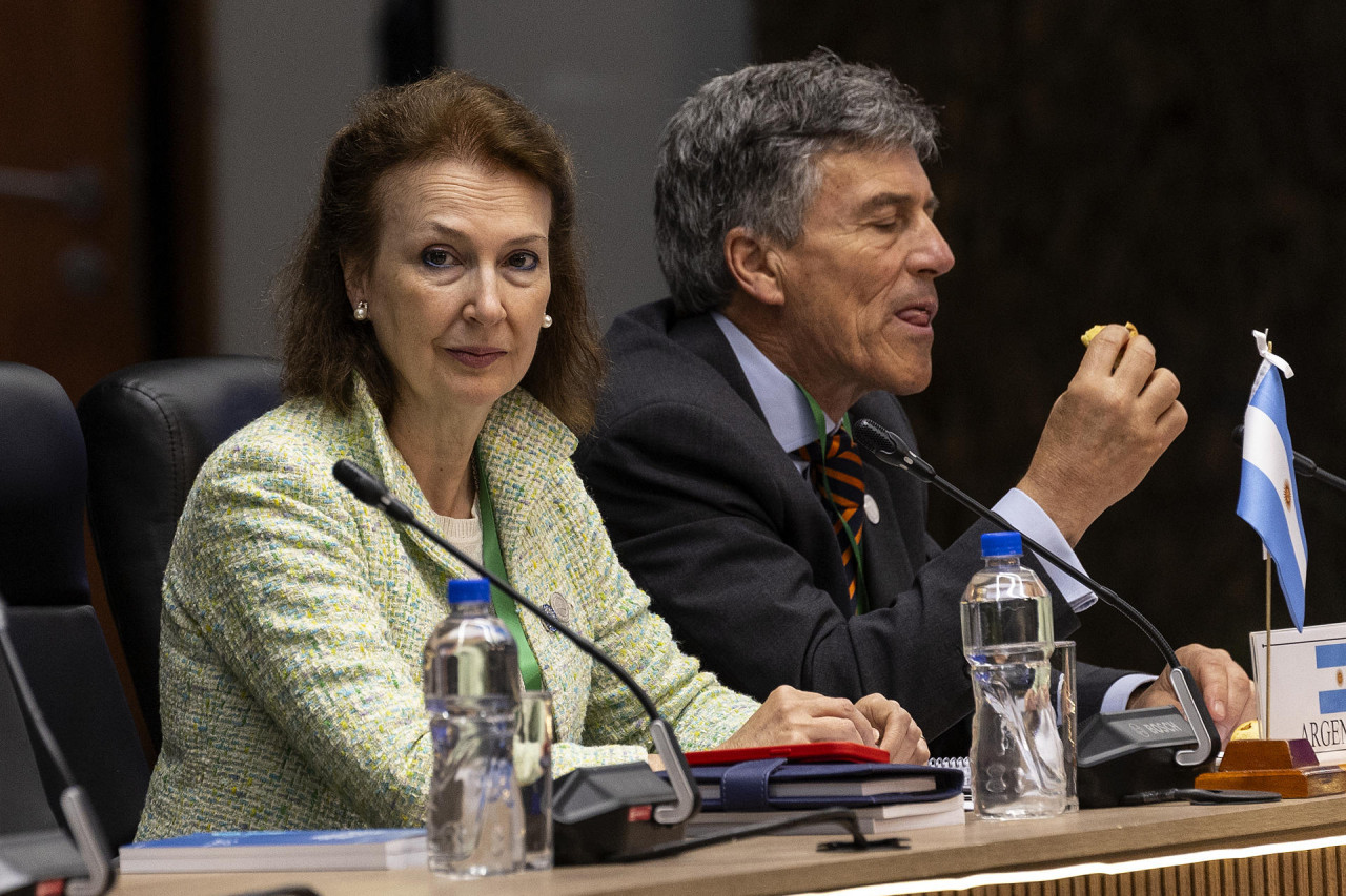 Diana Mondino, representante argentina en la Cumbre del Mercosur. Foto: EFE.