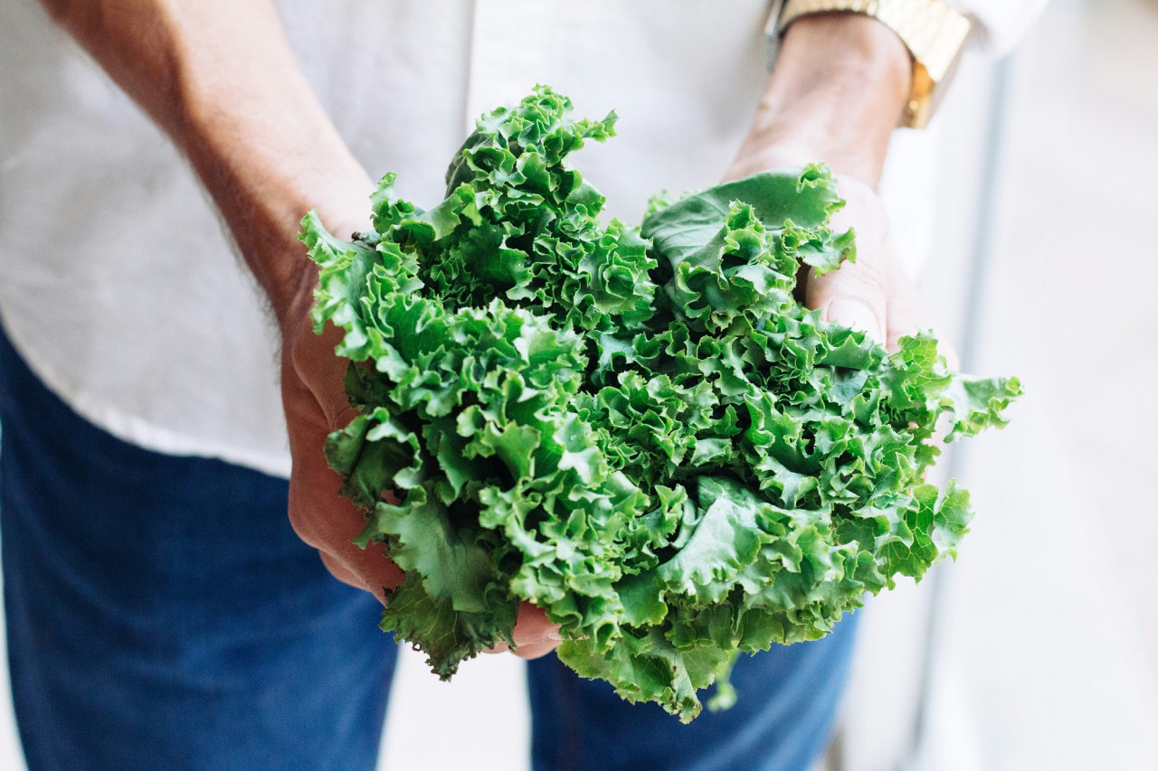 Kale, verduras, salud. Foto Unsplash.