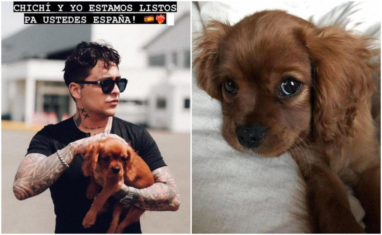 Christian Nodal con su nueva mascota, llamada Chichi. Foto: Instagram.