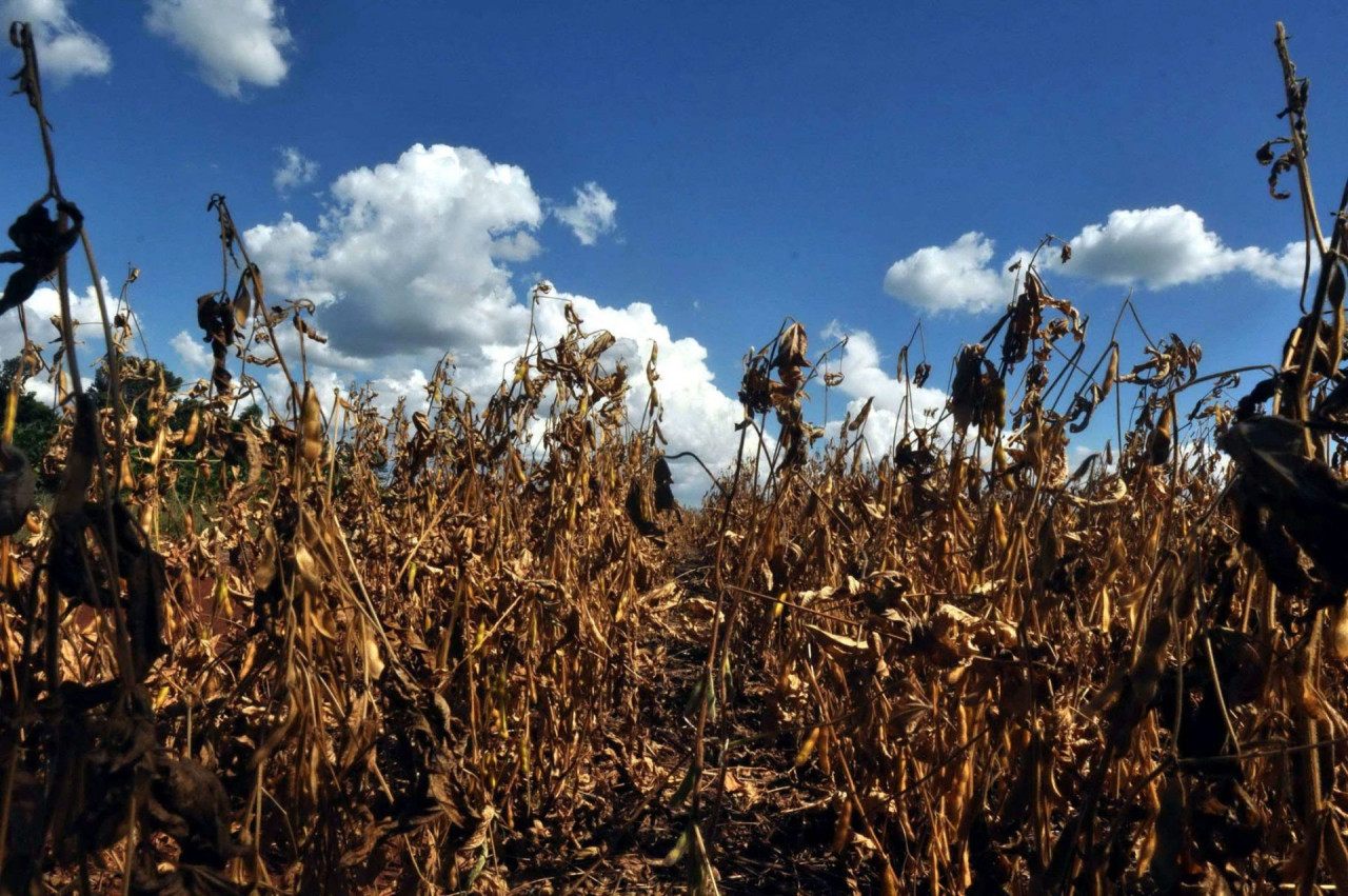 Cambio climático. Foto: EFE