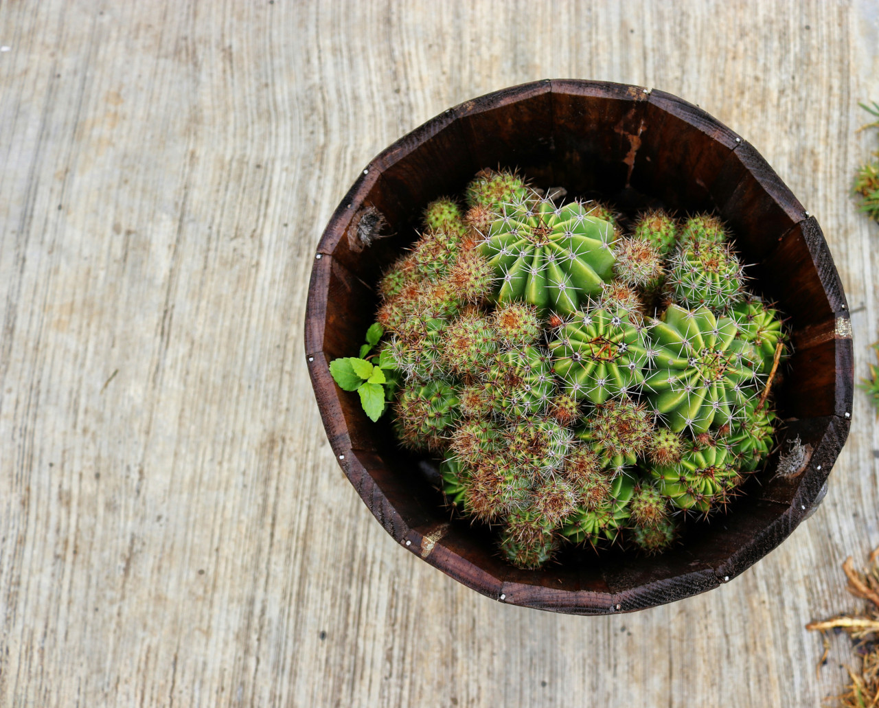 Regalos para el Día del Amigo. Foto: Unsplash.