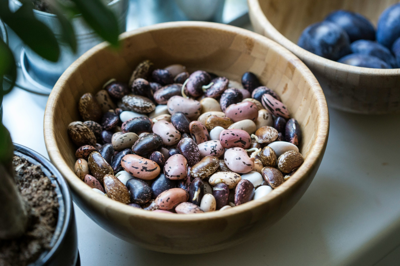 Porotos. Foto: Unsplash