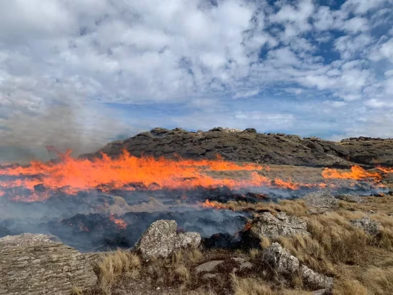 Incendio en Córdoba: Fuente: X