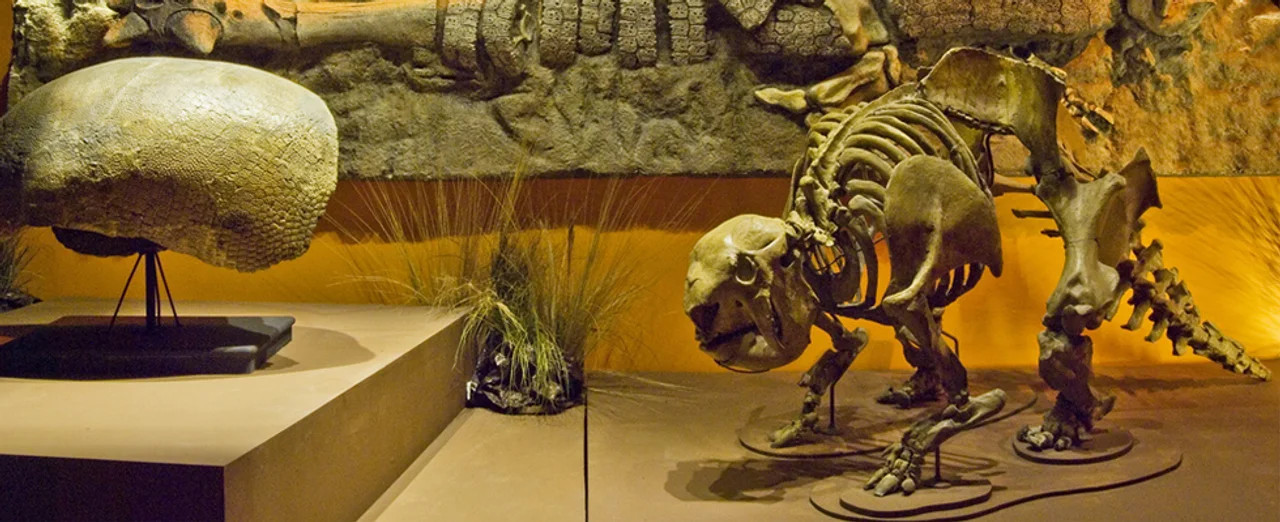 Museo Argentino de Ciencias Naturales. Foto: NA