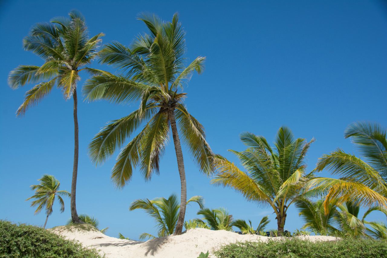 Punta Cana. Foto: Unsplash