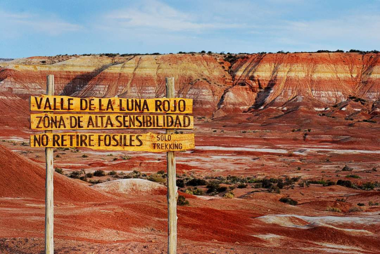 Cusi Cusi, Jujuy. Foto: X