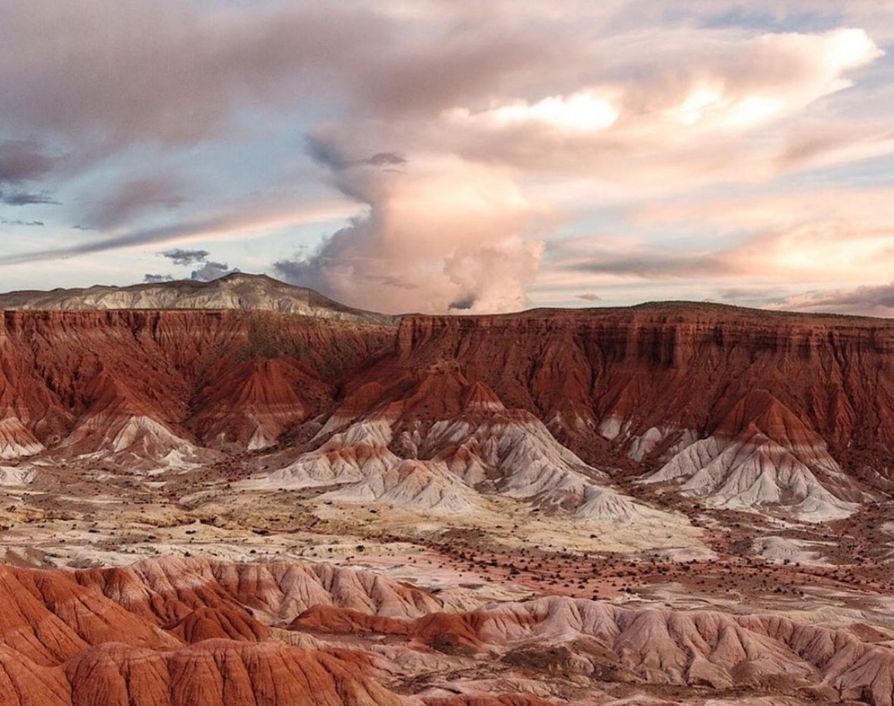 Cusi Cusi, Jujuy. Foto: X