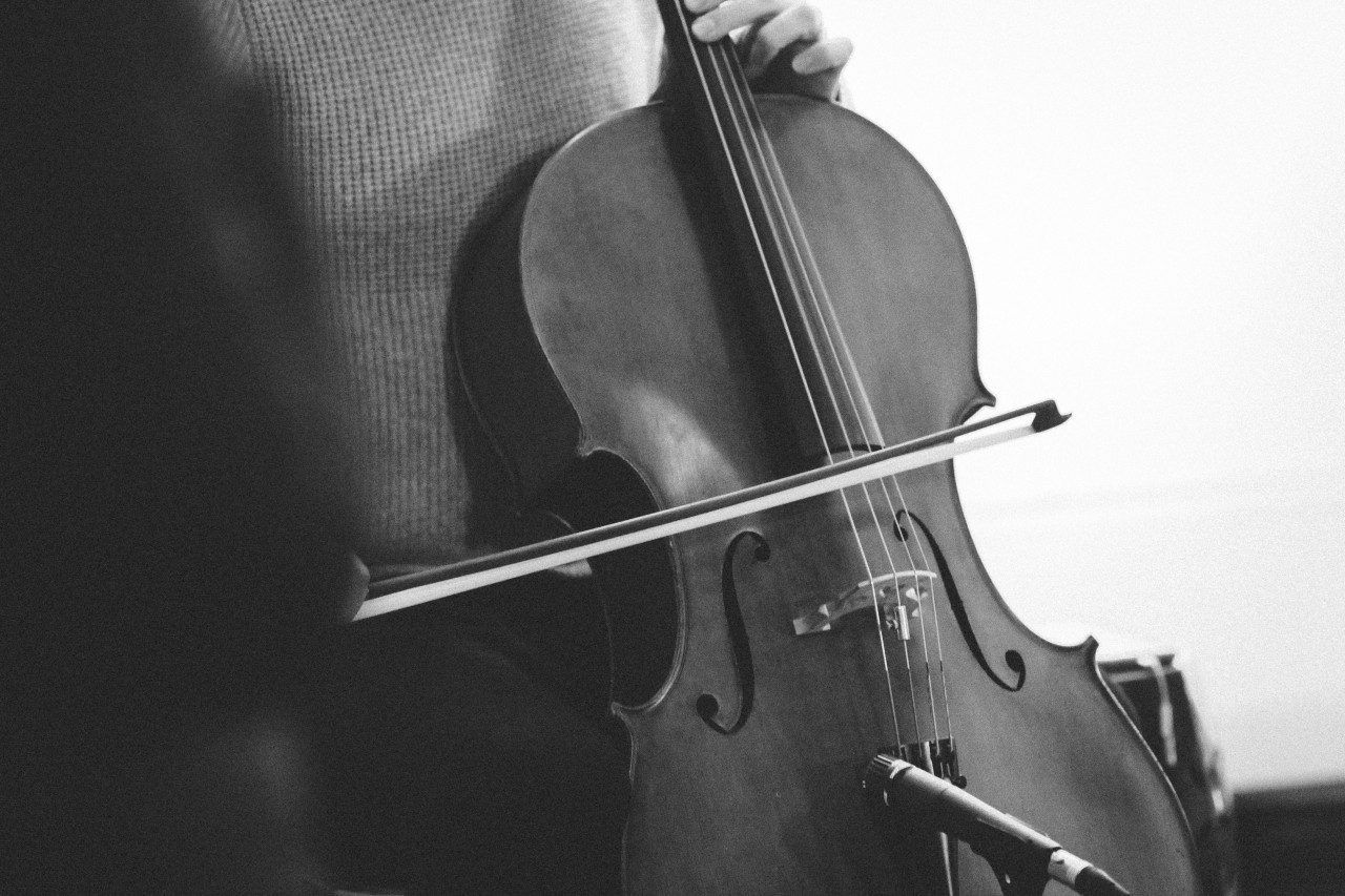 Violonchelo. Foto: Unsplash.