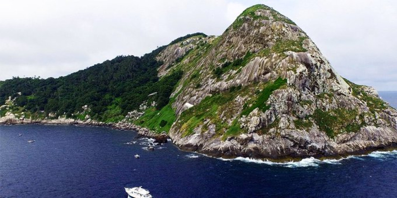 Ilha da Queimada Grande. Foto X.