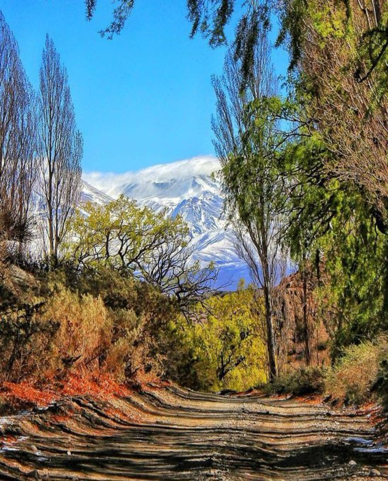 Parque Nacional El Leoncito, Barreal, Calingasta, San Juan. Foto X.