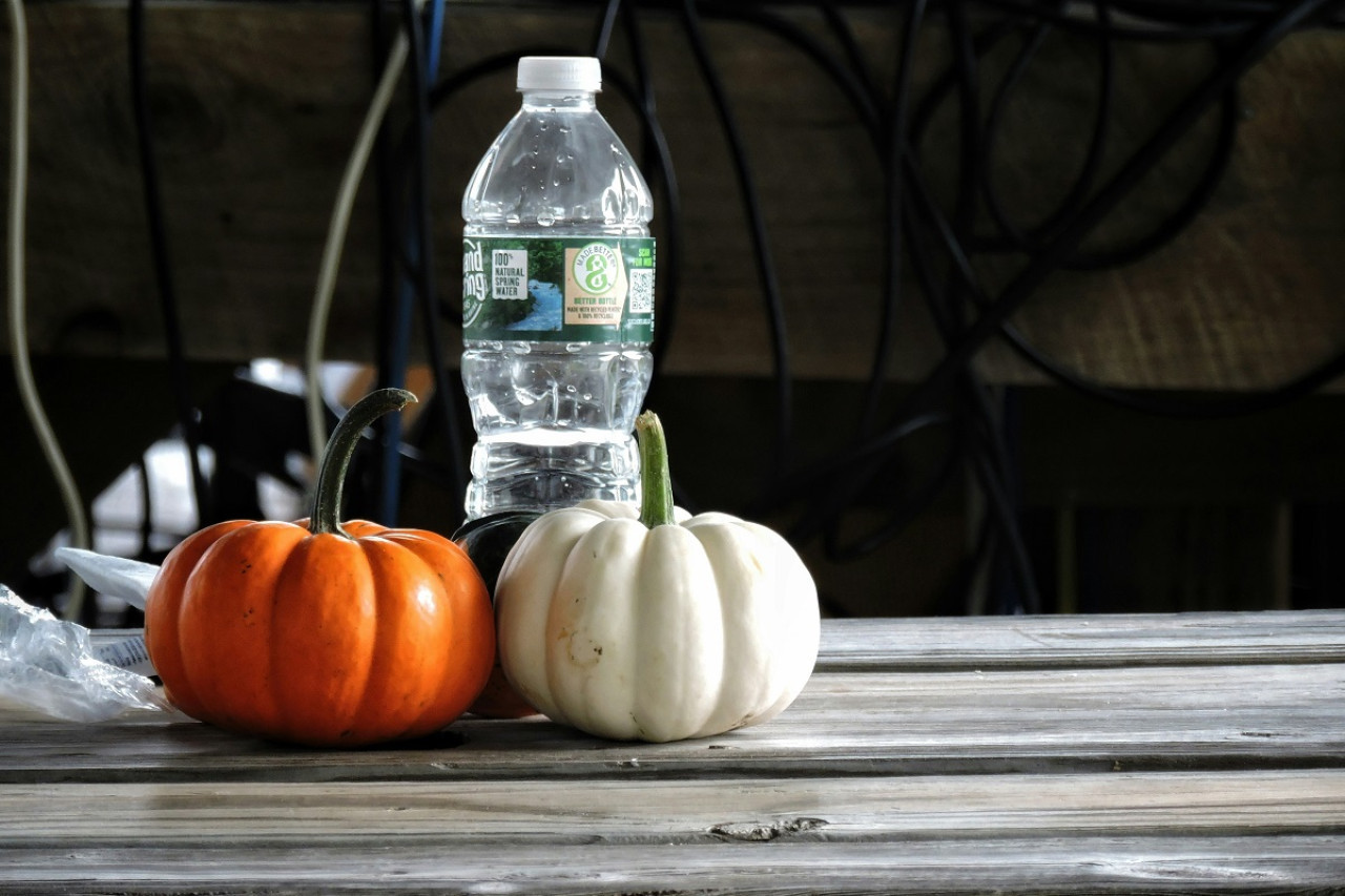 Botella de agua. Foto: Unsplash.