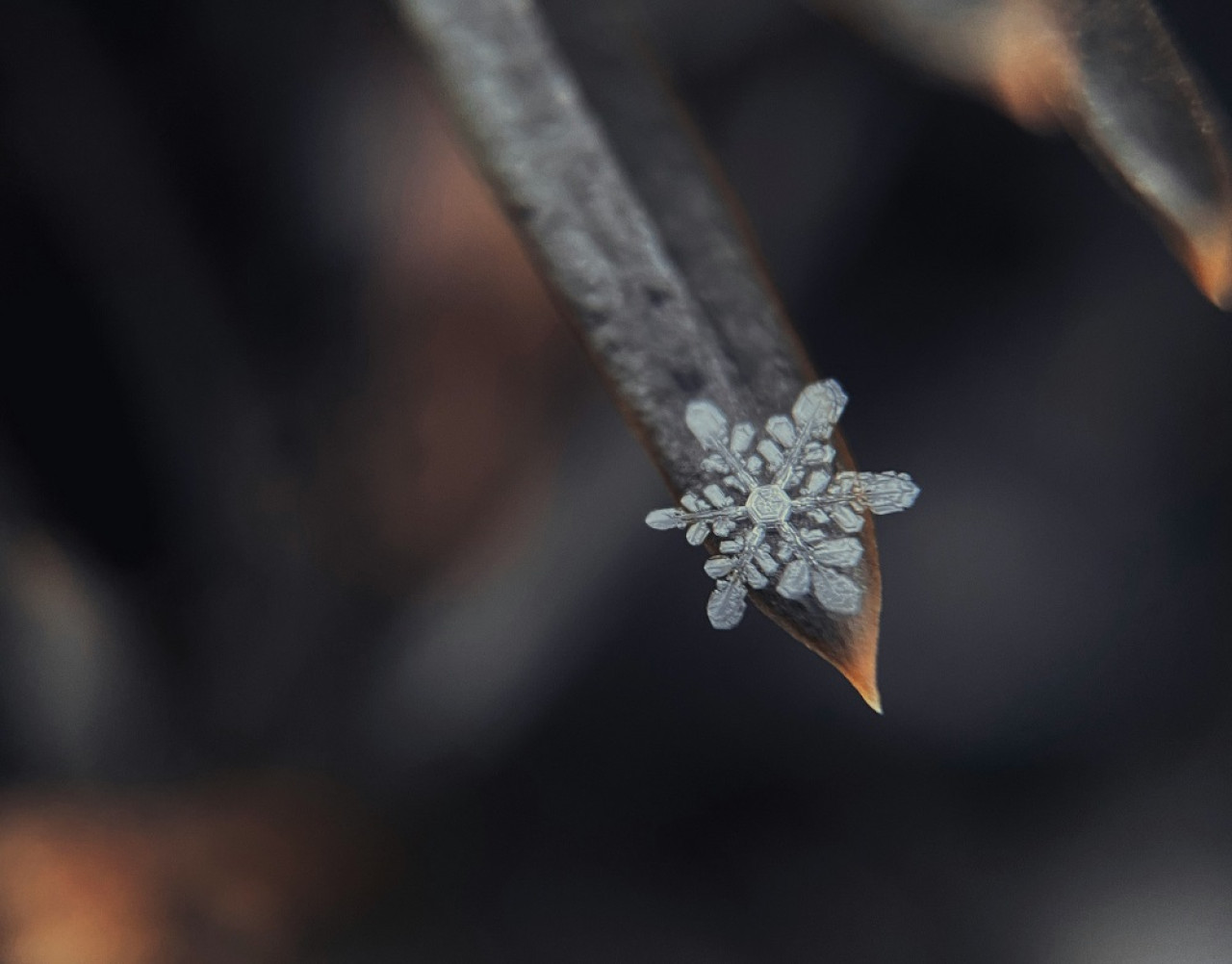 Copo de nieve. Foto: Unsplash.