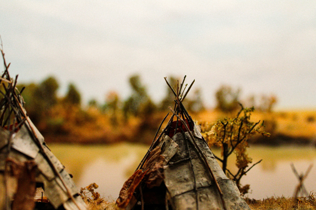 Comunidades indígenas. Foto: Unsplash.