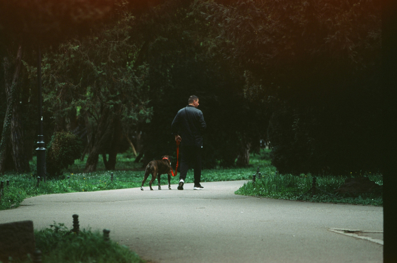 Pasear al perro. Foto: Unsplash