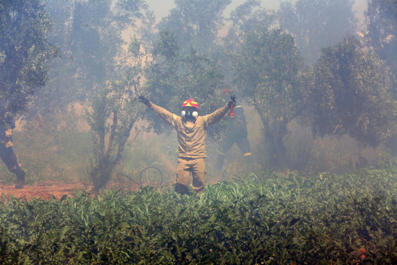 Incendios forestales en Grecia. Foto: EFE