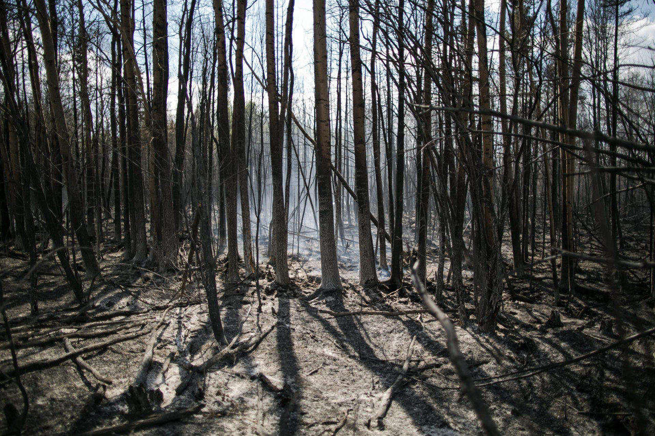 Cambio climático. EFE