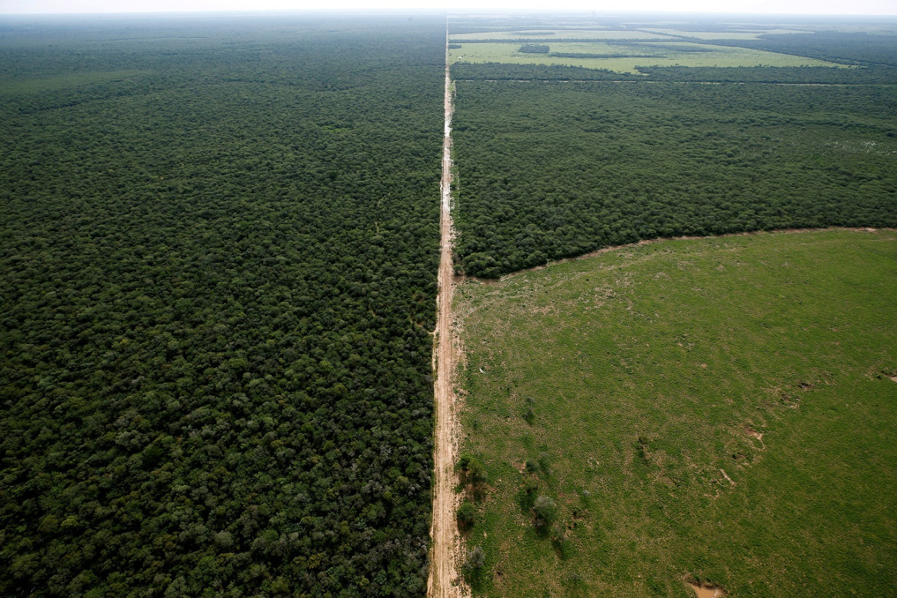 Deforestación en Chaco. Foto: Reuters