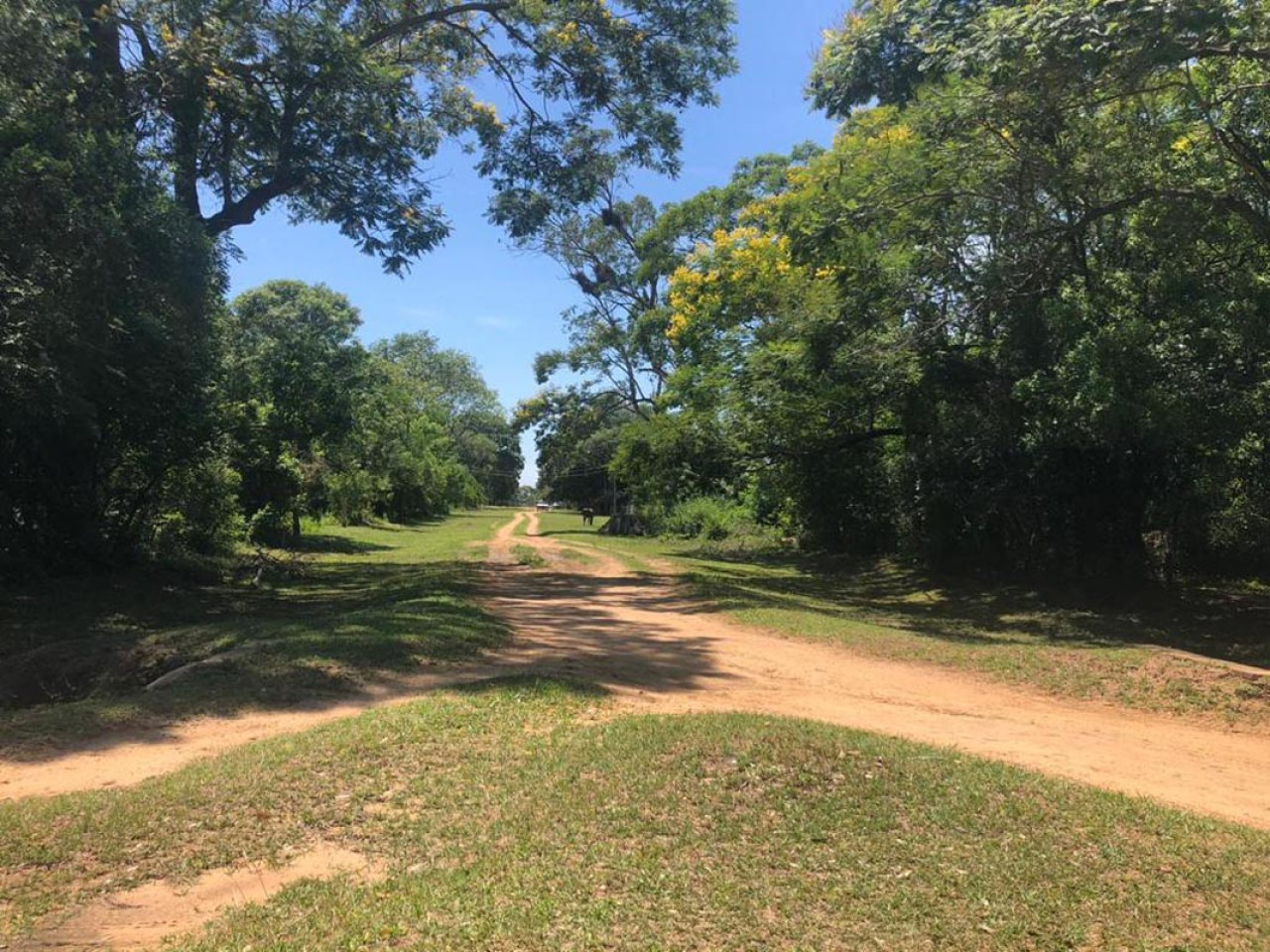 Reserva Natural Apipé Grande, Corrientes. Foto: Corrientes Turismo.