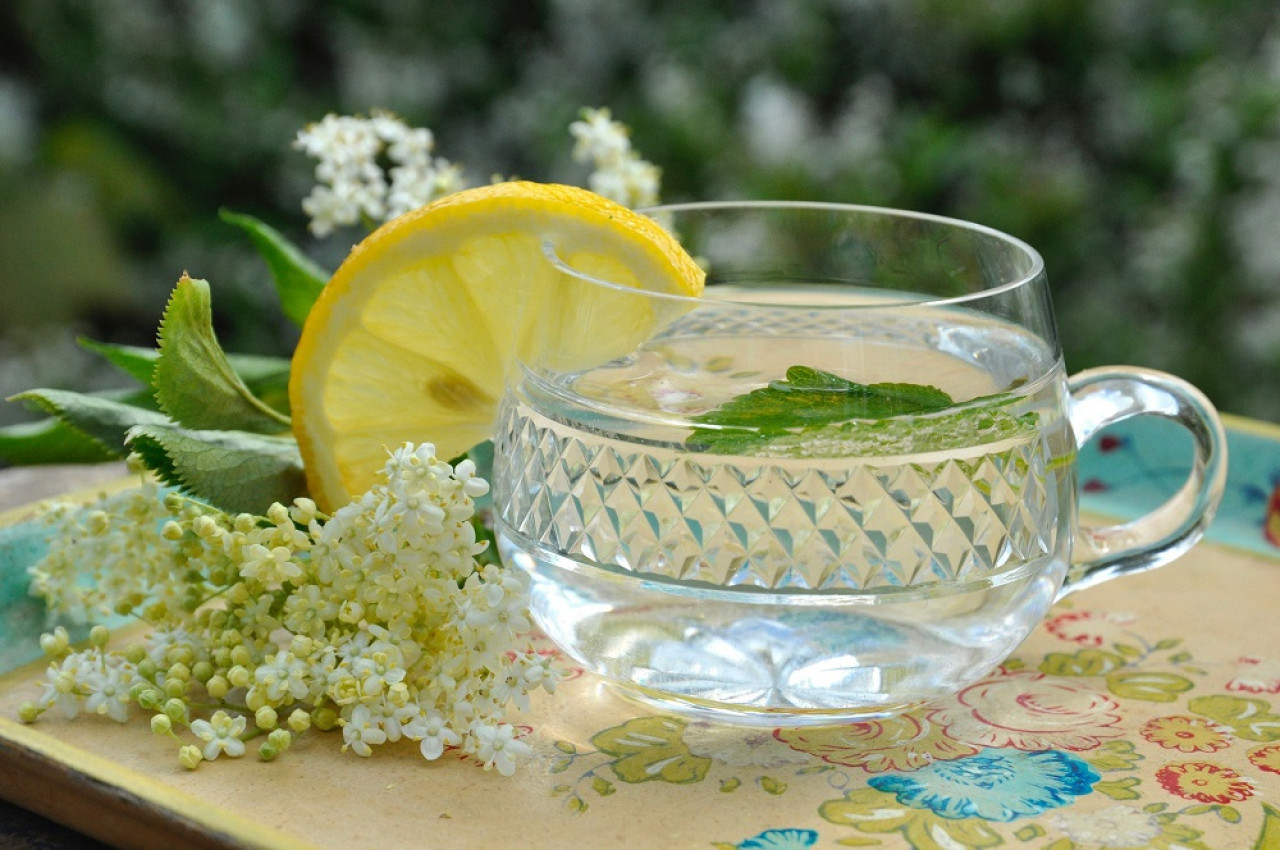 Infusión de flor de sauco. Foto: Unsplash.