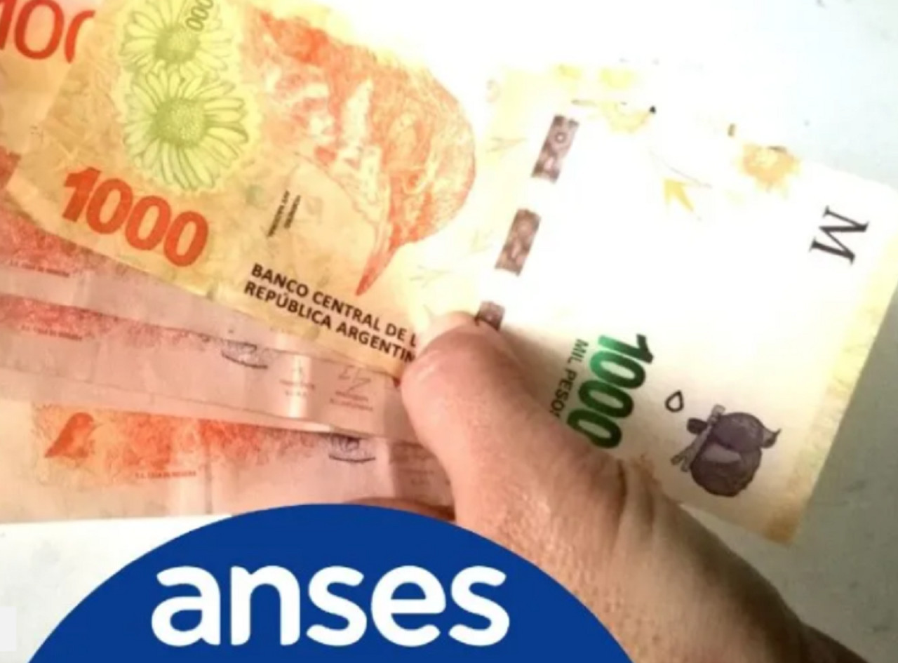 El bono ANSES de $ 260.000