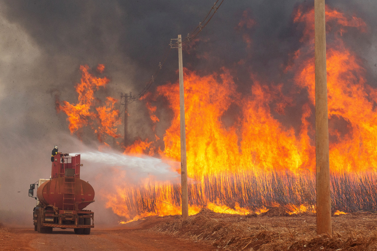 Incendios en Brasil. Foto: Reuters.