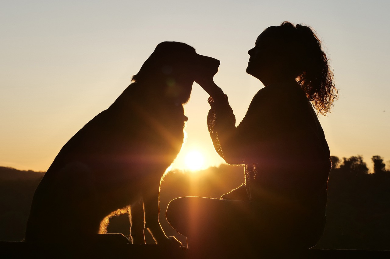 Felicidad, mascota, perro. Foto: Pexels.