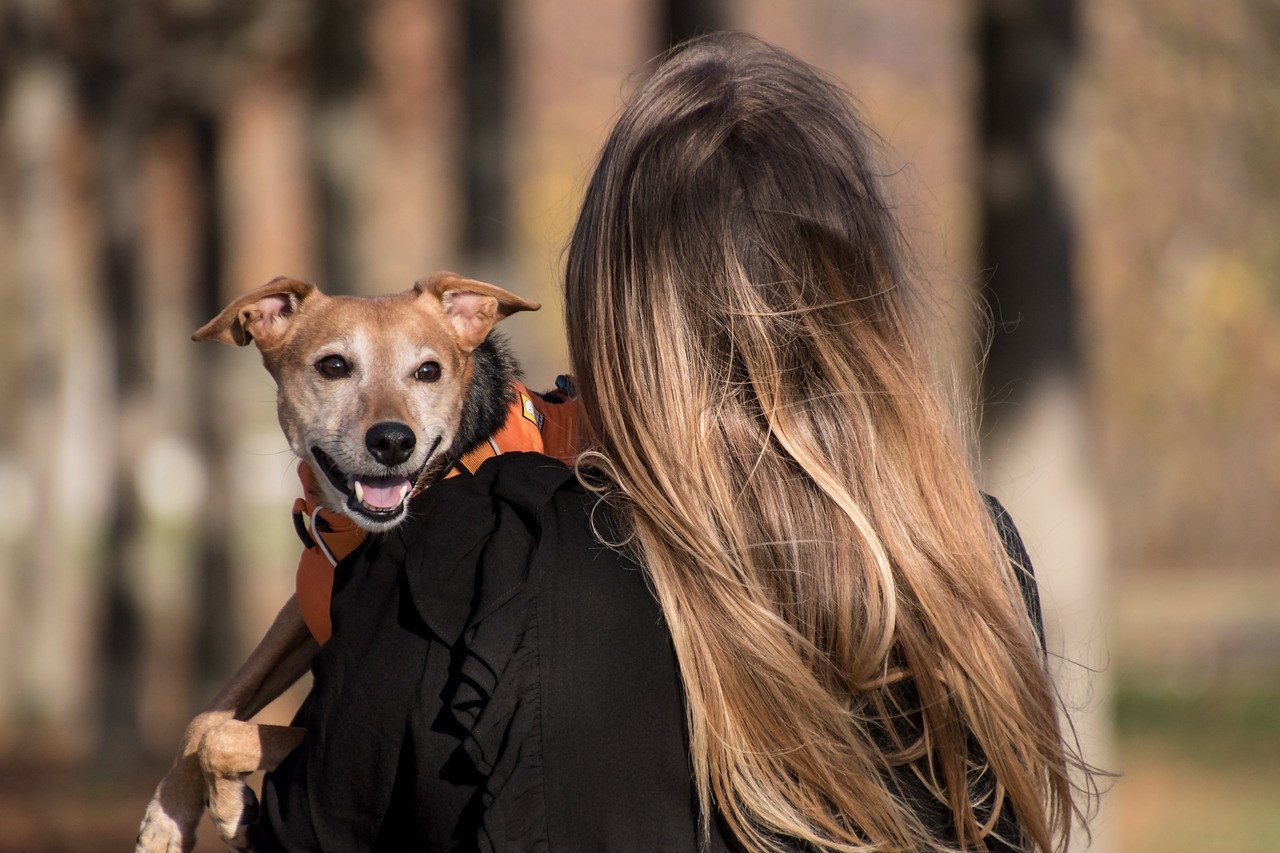 Felicidad, mascota, perro. Foto: Pexels.