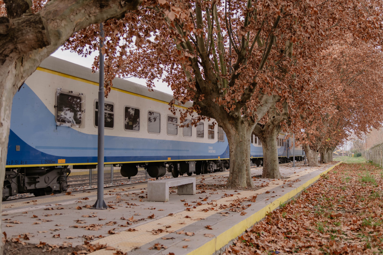 Trenes de larga distancia. Foto: Trenes Argentinos.