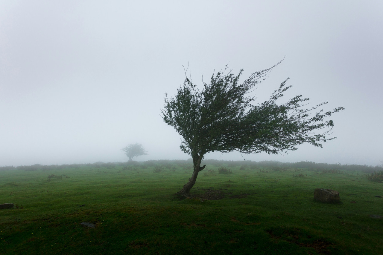 Viento. Foto: Unsplash.