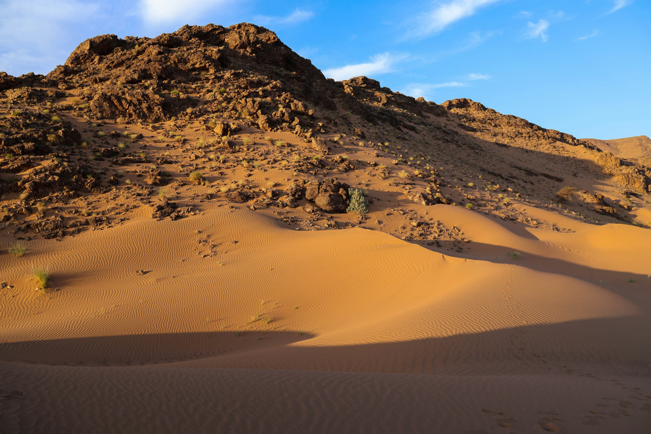 Desierto del Sáhara. Foto: Unsplash.