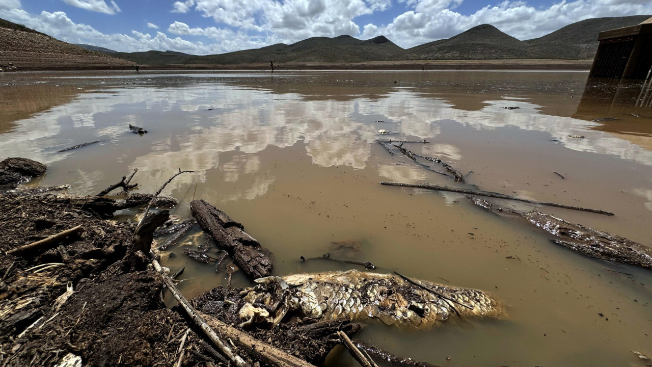 Sequía en México. Foto: EFE.