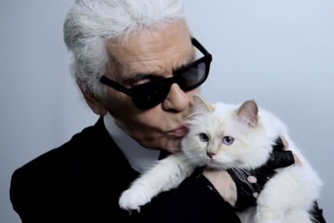 Choupette, la gatita de  Karl Lagerfeld. Fuente: X