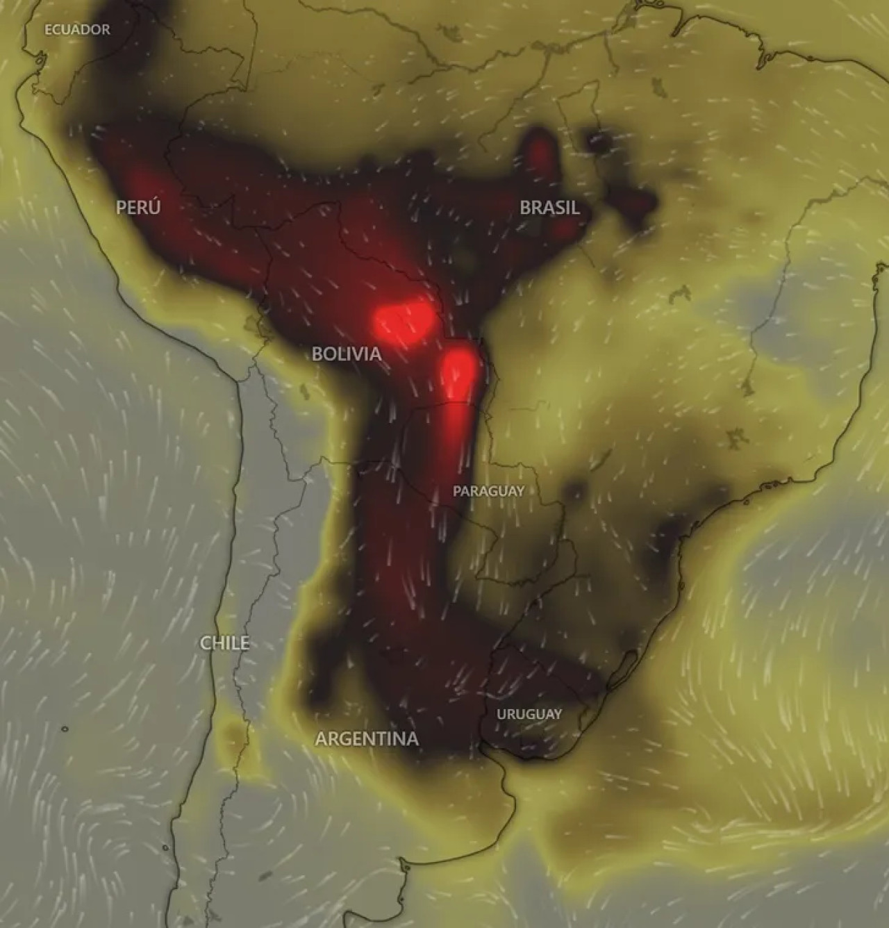 Se avecina humo a Buenos Aires. Foto: SMN