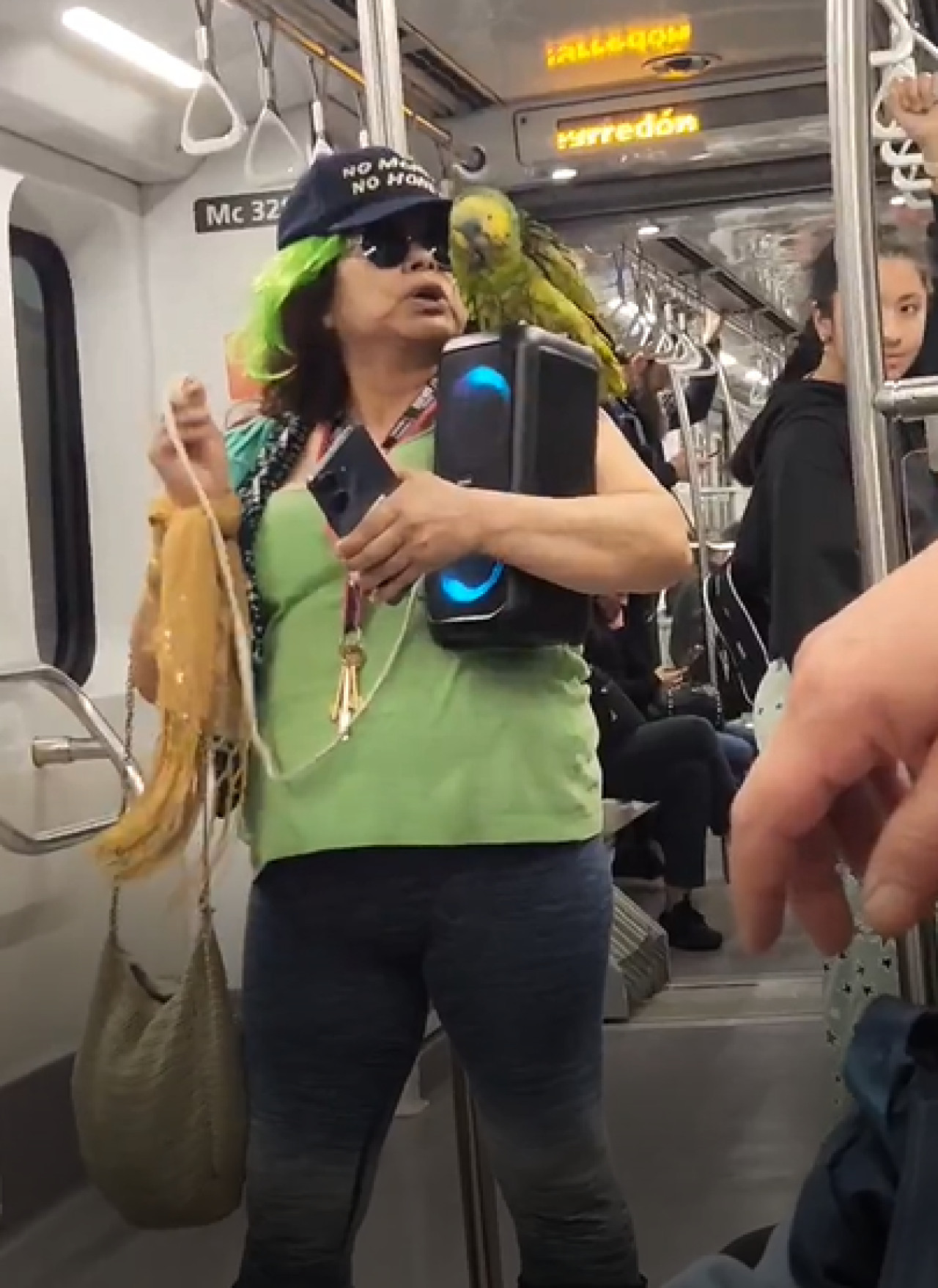 El show de esta mujer junto a su loro arriba del subte. Foto: Captura de video.