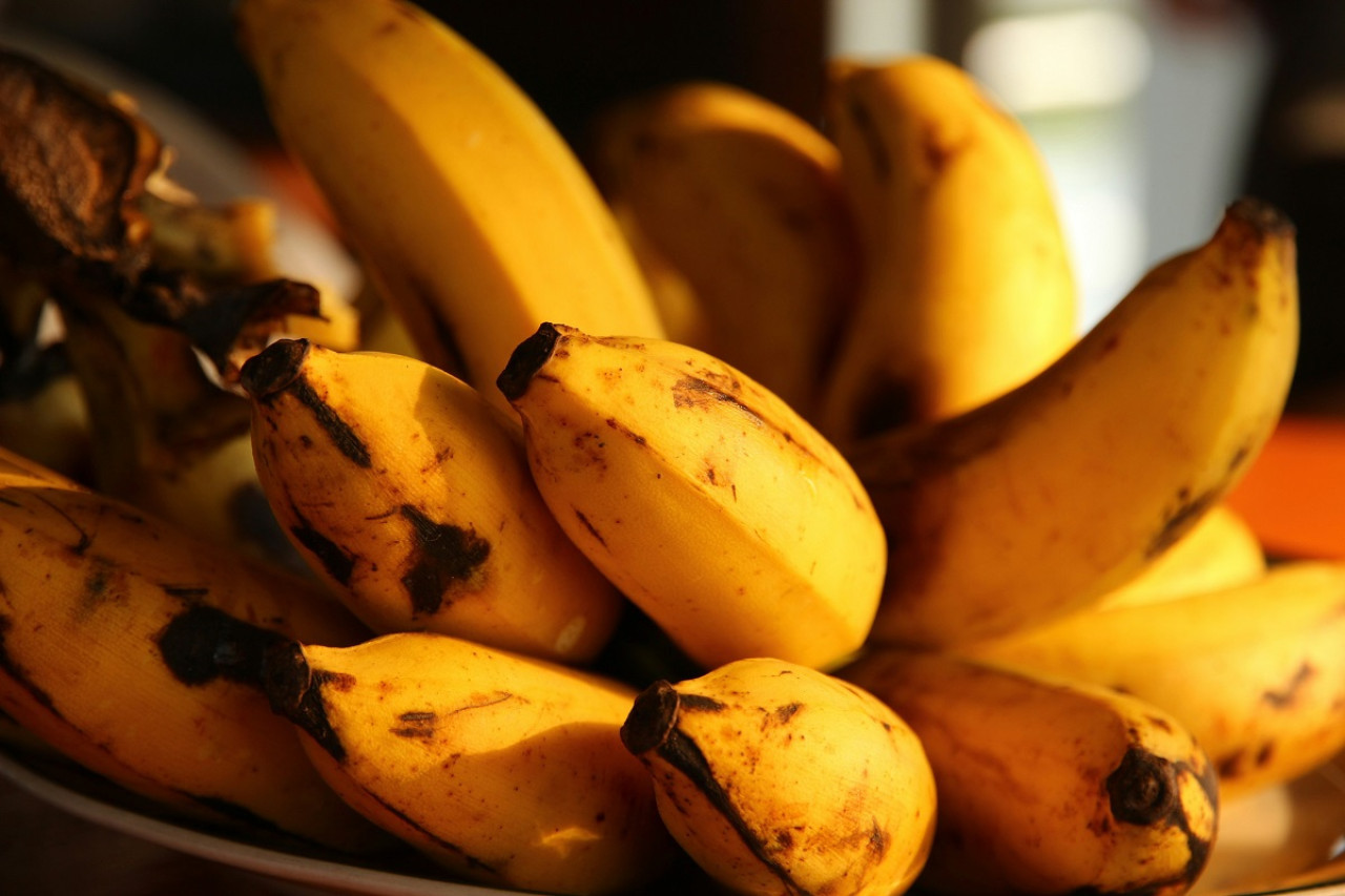 Bananas; frutas; alimentos. Foto: Unsplash.