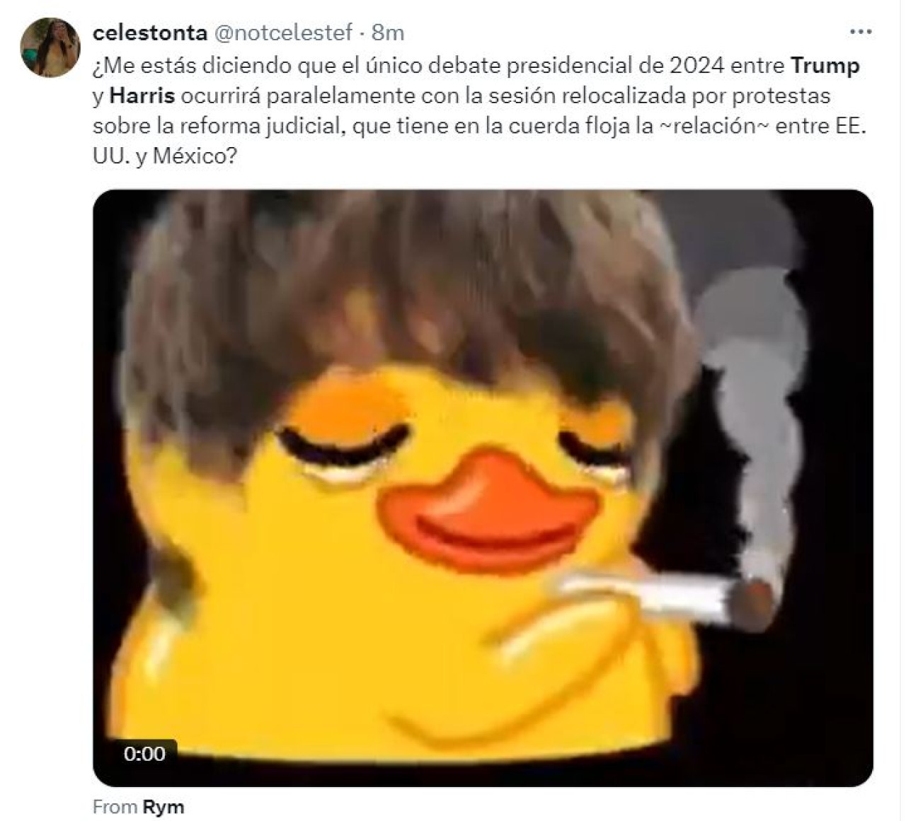 Memes Debate Presidencial en Estados Unidos entre Kamala Harris y Donald Trump. Imagen: X