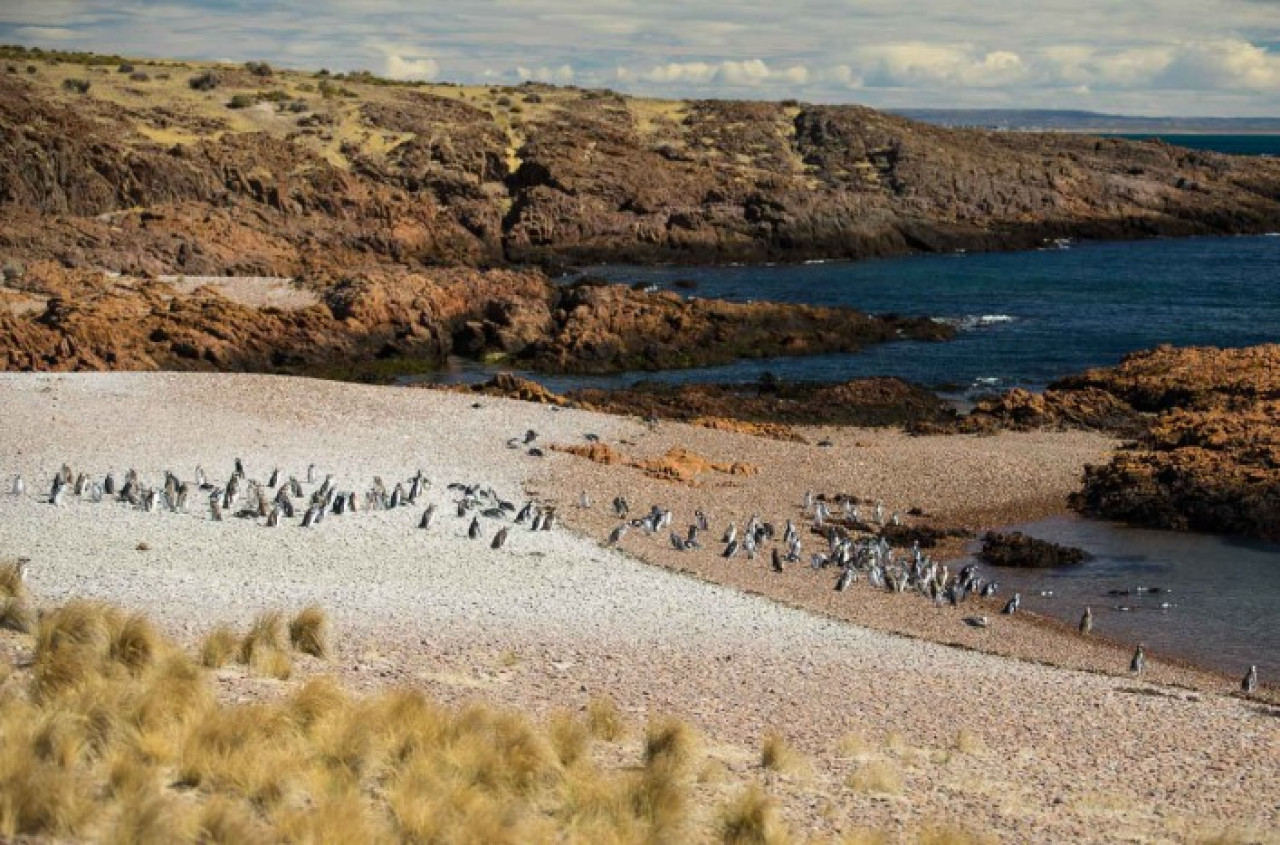 La maravilla natural oculta de la Patagonía. Foto: Argentina La Ruta Natural