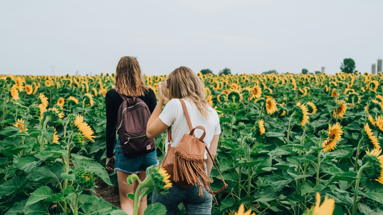 caminata. Fuente: Unsplash.