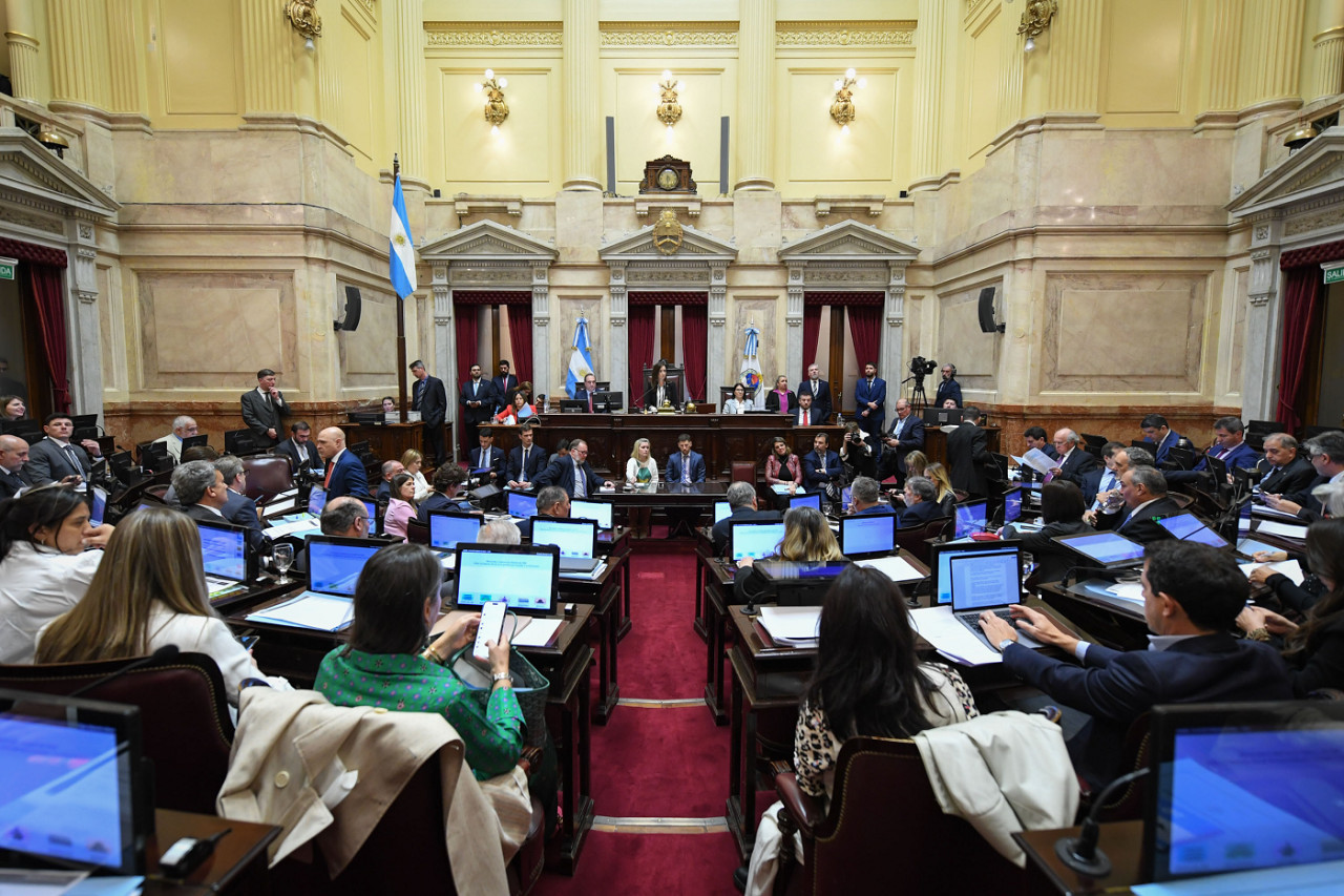 Debate en el Senado. Foto: X @SenadoArgentina