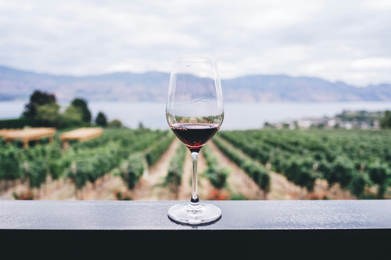 Semana del Vino en Calamuchita, Córdoba. Foto: Unsplash.