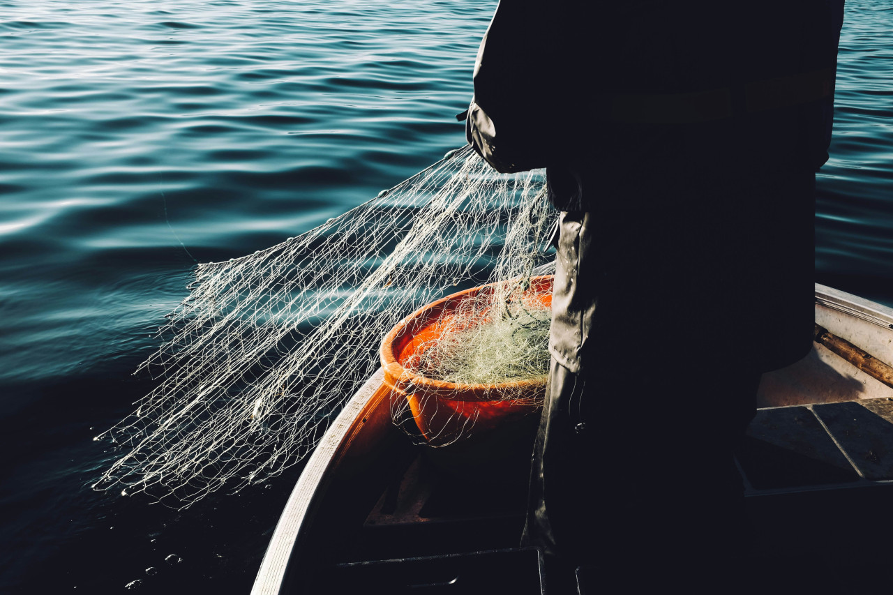 Pesca de salmón. Foto: Unsplash