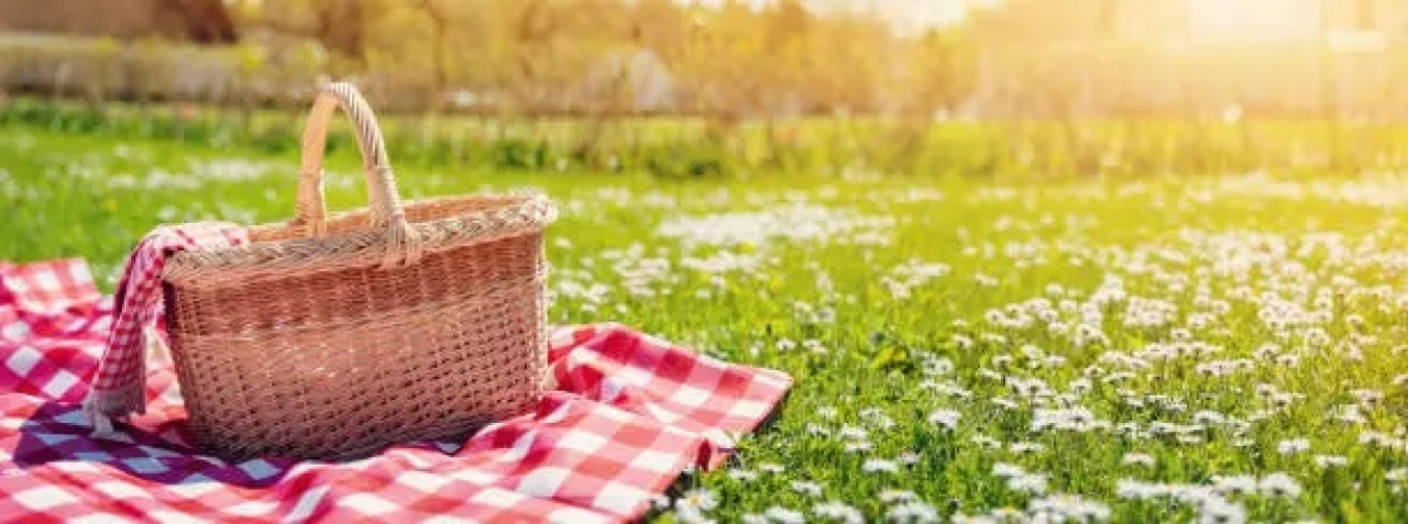 Picnic. Fuente: Unsplash