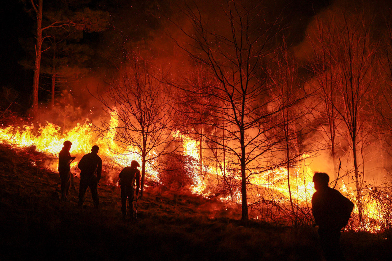 Incendios en Córdoba. Foto: EFE