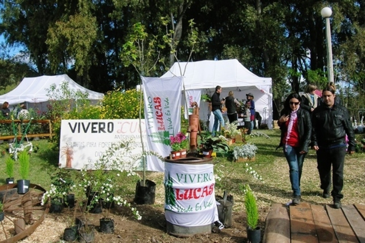 Cazón. Fuente: Turismo Saladillo