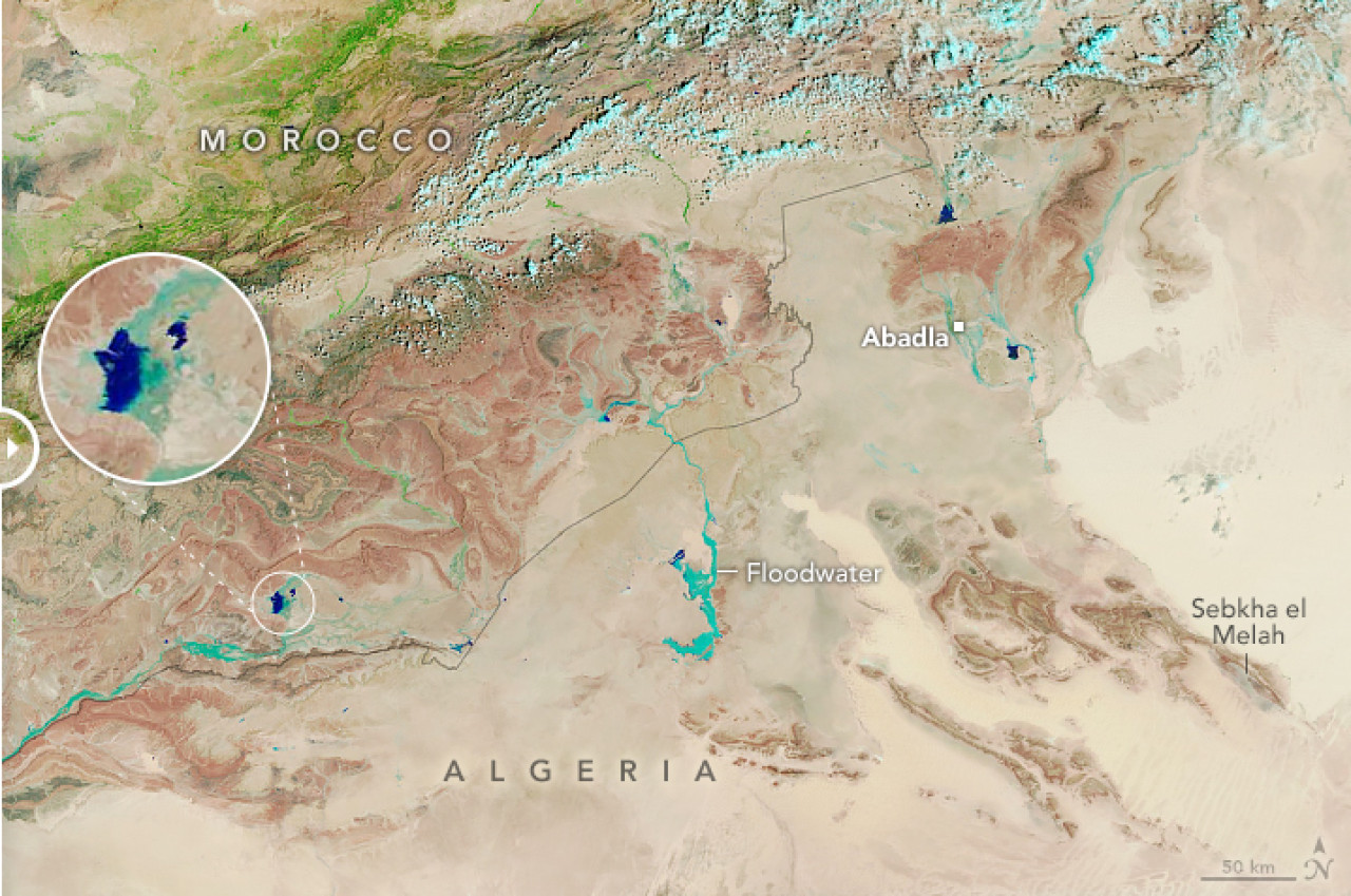 Las imágenes que difundió la NASA sobre la vegetación en el desierto del Sahara. Foto: NASA.